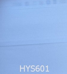 HYS601