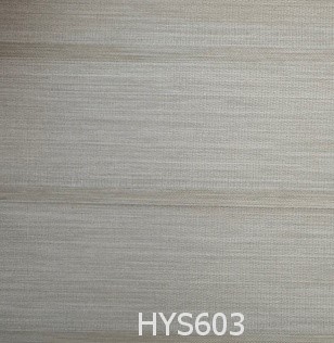 HYS603