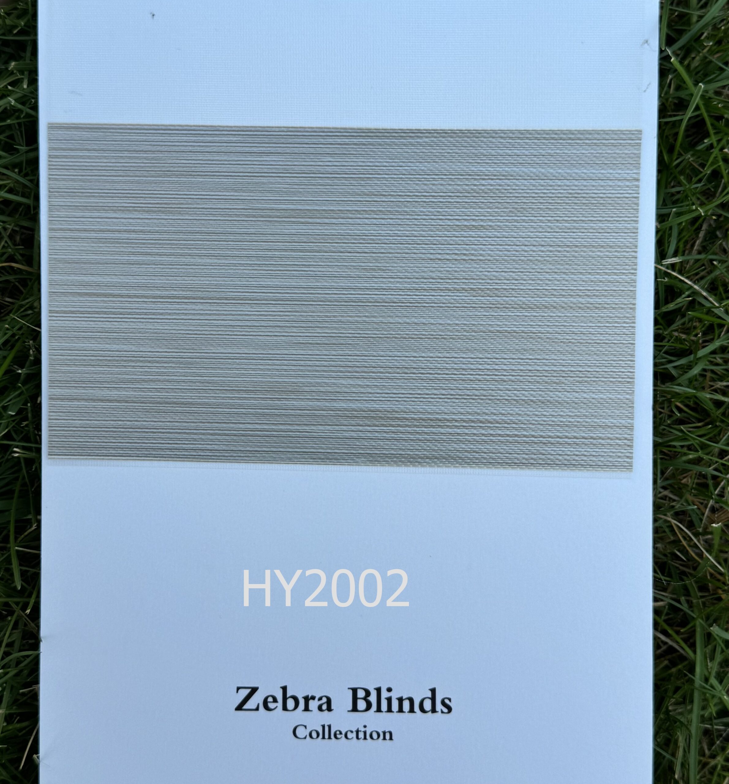 HY2002